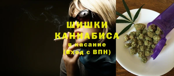 спиды Богородицк