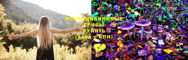 прущие грибы Богородск