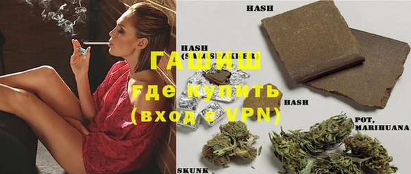 спиды Богородицк