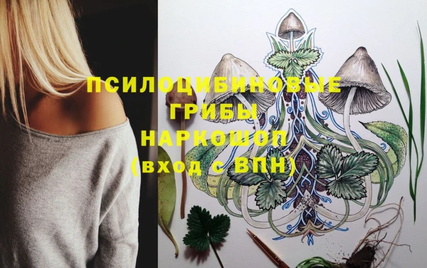 марки lsd Богданович