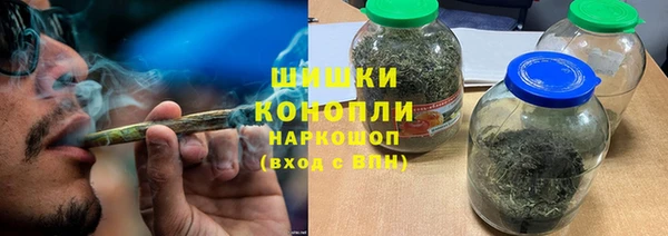прущие грибы Богородск